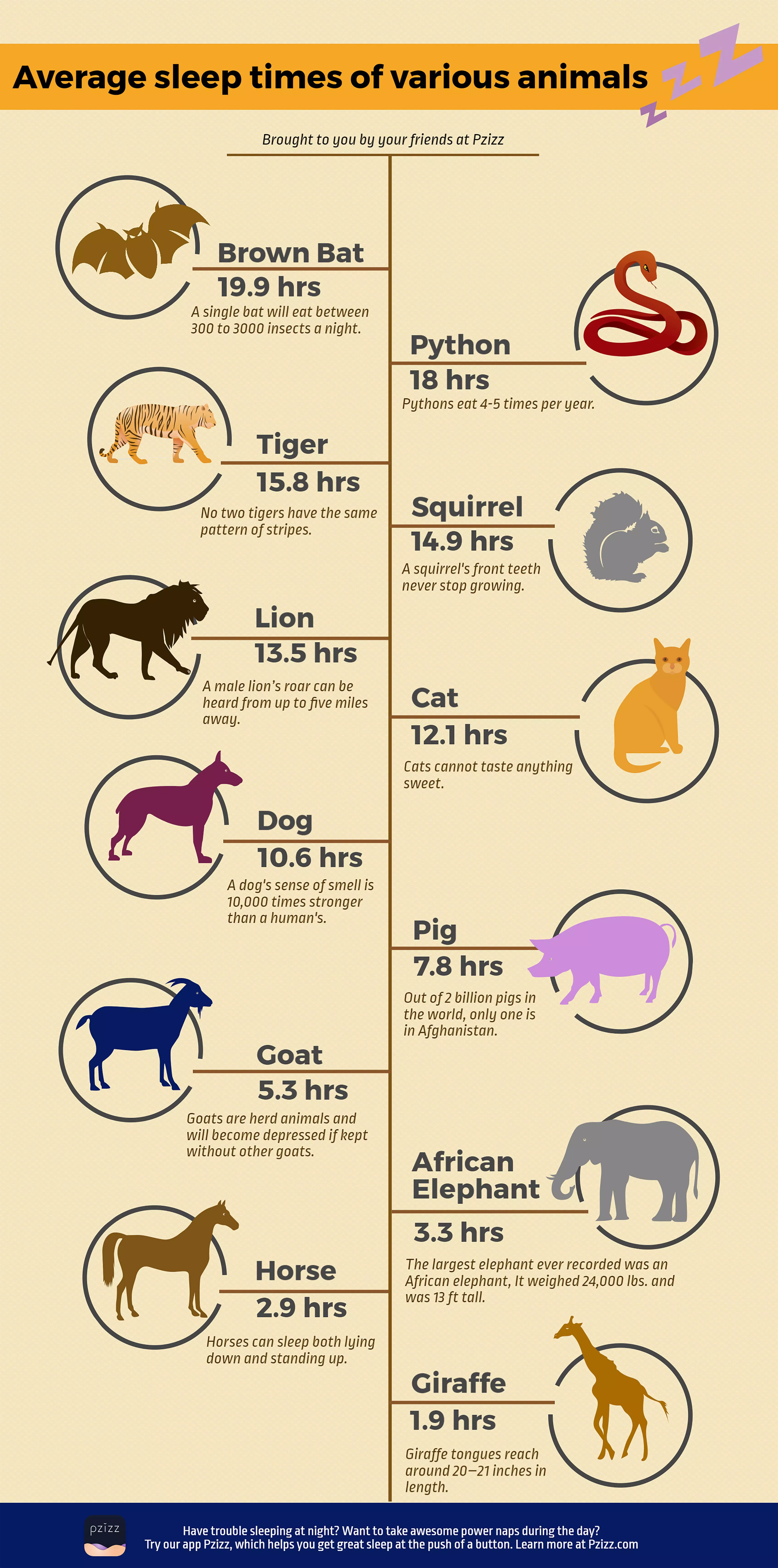 How Long do Animals Sleep?