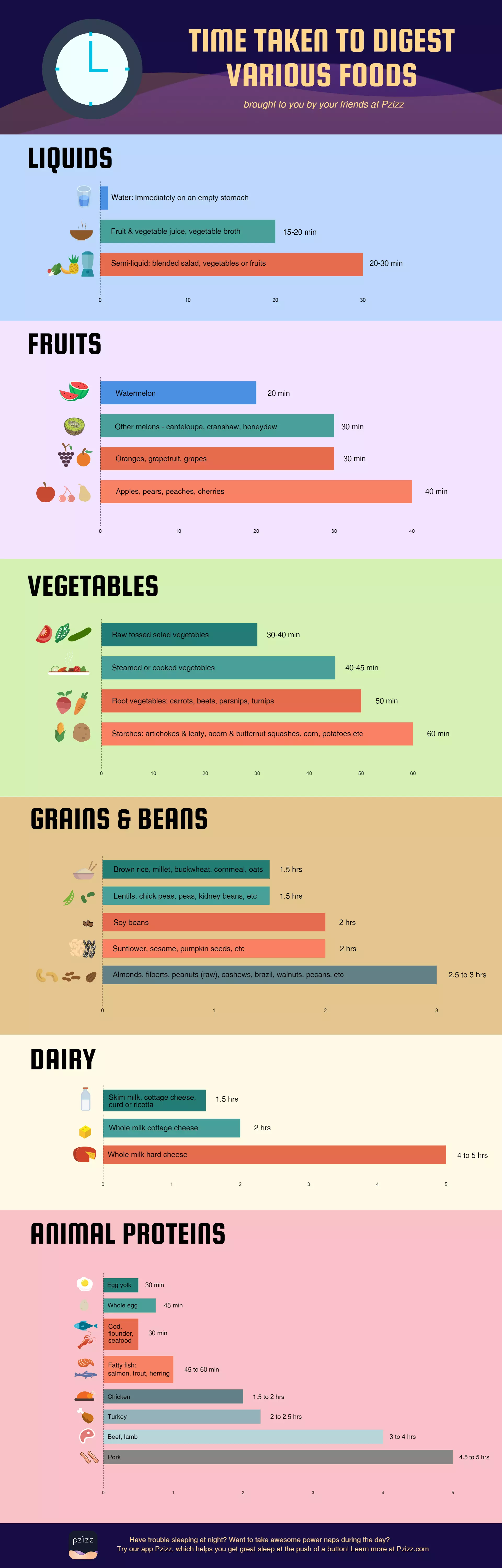 How Long Does Meat Stay in Your System?